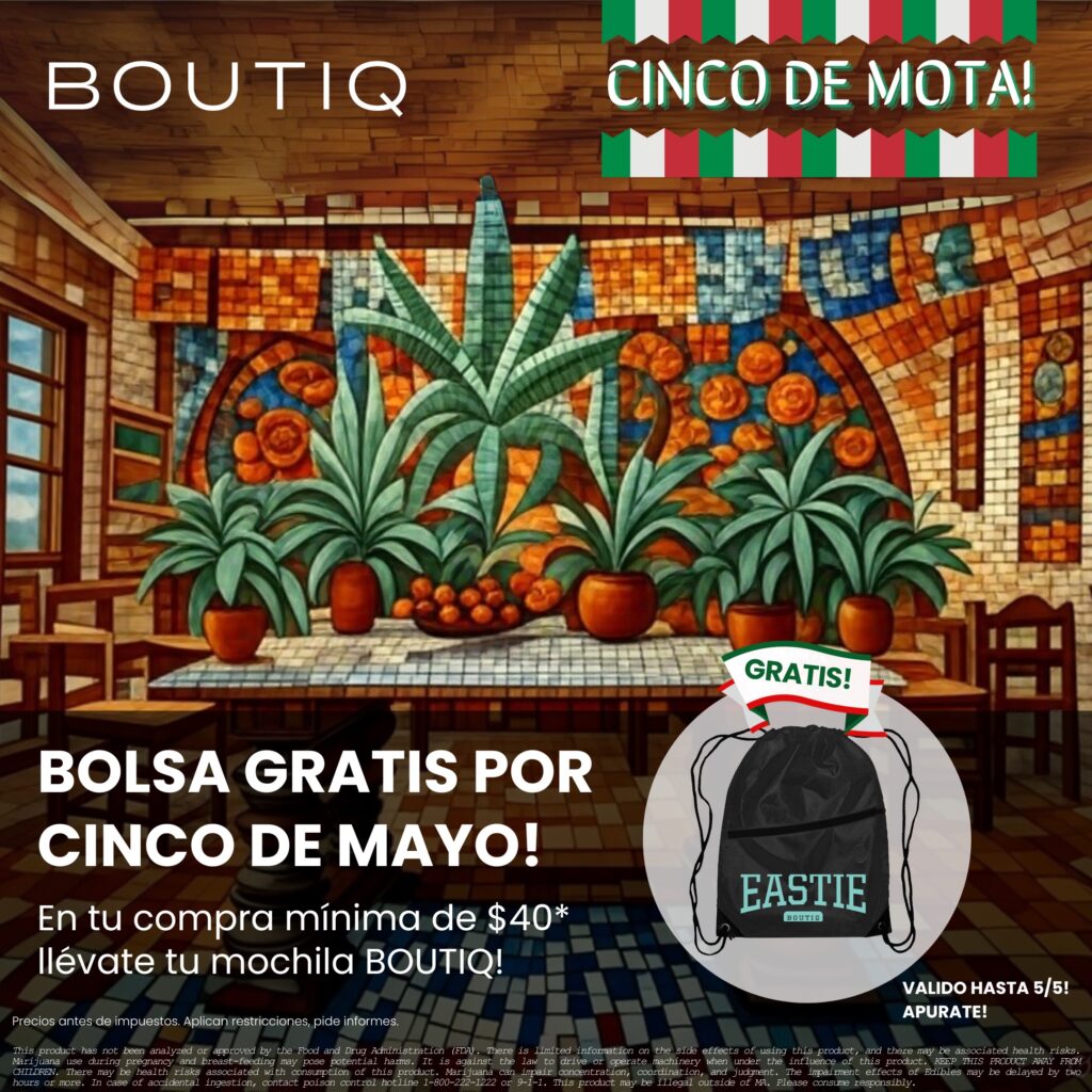 BOUTIQ Cinco de Mota - Bolsa gratis por Cinco de Mayo - En tu compra minima de 40 llevate to uochila BOUTIQ - valido hasta 5 Mayo
